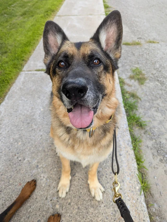 Review by Patricia H.