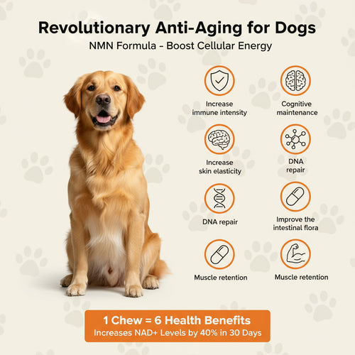 FurEver™ NMN Longevity Soft Chews