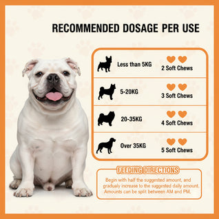 FurEver™ NMN Longevity Soft Chews