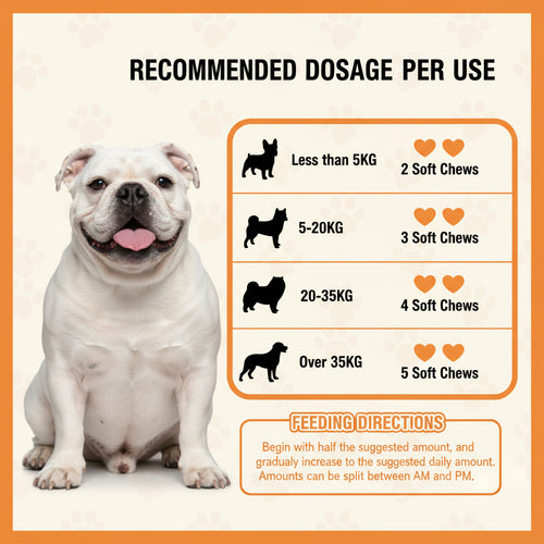 FurEver™ NMN Longevity Soft Chews