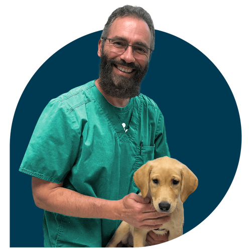 24/7 Veterinarian Support & Consultant