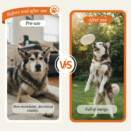 FurEver™ NMN Longevity Soft Chews