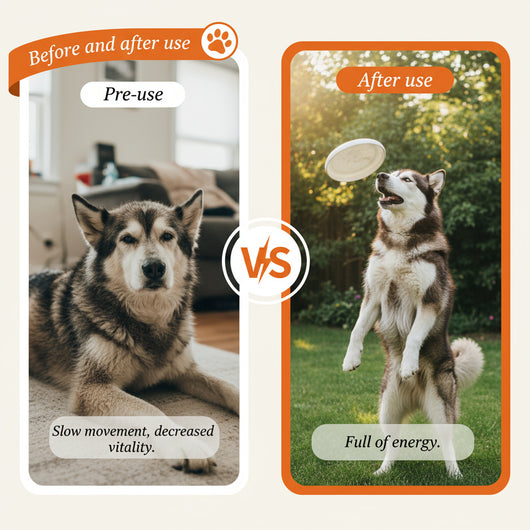 FurEver™ NMN Longevity Soft Chews